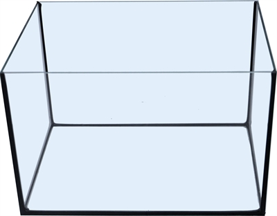 56037
