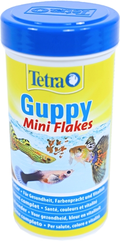 6081